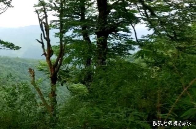 荒野大镖客2